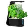 AeroGarden Black Sprout: Indoor Garden With LED Grow Light For Fresh Herbs & Veggies 1 AeroGarden Black Sprout: Indoor Garden With LED Grow Light For Fresh Herbs & Veggies -Home Electronics Store aerogarden black sprout 2020 model