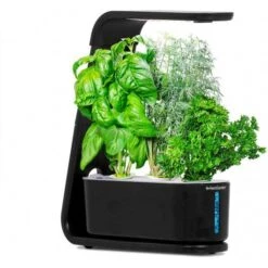 AeroGarden Black Sprout: Indoor Garden With LED Grow Light For Fresh Herbs & Veggies