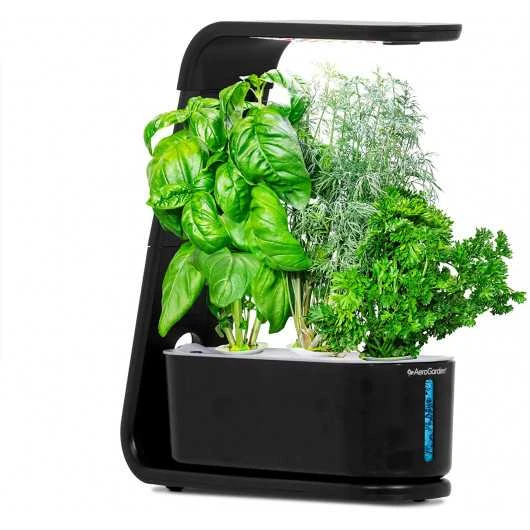 AeroGarden Black Sprout: Indoor Garden With LED Grow Light For Fresh Herbs & Veggies 3 AeroGarden Black Sprout: Indoor Garden With LED Grow Light For Fresh Herbs & Veggies