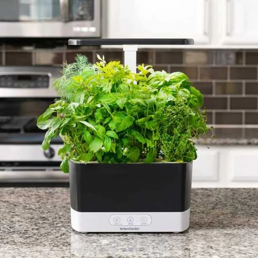 AeroGarden Harvest Indoor Garden: Grow Fresh Herbs & Vegetables All Year Round 4 AeroGarden Harvest Indoor Garden: Grow Fresh Herbs & Vegetables All Year Round - Image 2