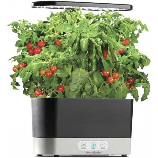 AeroGarden Harvest Indoor Garden: Grow Fresh Herbs & Vegetables All Year Round 15 AeroGarden Harvest Indoor Garden: Grow Fresh Herbs & Vegetables All Year Round - Image 13