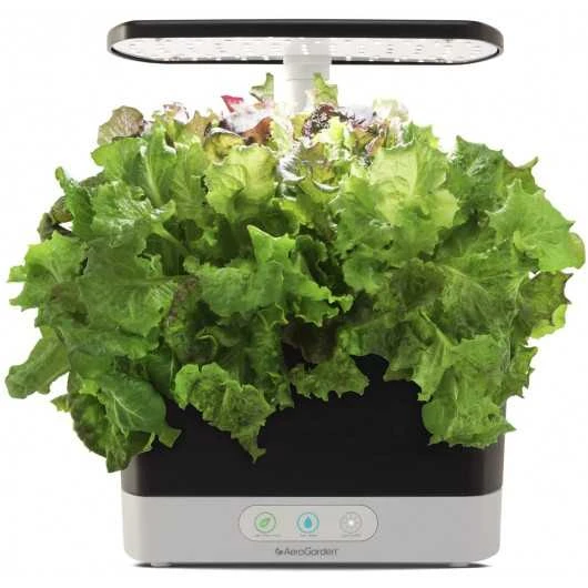 AeroGarden Harvest Indoor Garden: Grow Fresh Herbs & Vegetables All Year Round 16 AeroGarden Harvest Indoor Garden: Grow Fresh Herbs & Vegetables All Year Round - Image 14