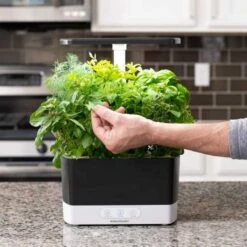 AeroGarden Harvest Indoor Garden: Grow Fresh Herbs & Vegetables All Year Round 18 AeroGarden Harvest Indoor Garden: Grow Fresh Herbs & Vegetables All Year Round -Home Electronics Store aerogarden harvest indoor garden with led grow light black 2