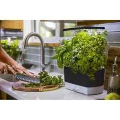 AeroGarden Harvest Indoor Garden: Grow Fresh Herbs & Vegetables All Year Round 20 AeroGarden Harvest Indoor Garden: Grow Fresh Herbs & Vegetables All Year Round -Home Electronics Store aerogarden harvest indoor garden with led grow light black 4