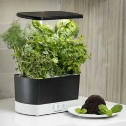 AeroGarden Harvest Indoor Garden: Grow Fresh Herbs & Vegetables All Year Round 23 AeroGarden Harvest Indoor Garden: Grow Fresh Herbs & Vegetables All Year Round -Home Electronics Store aerogarden harvest indoor garden with led grow light black 7