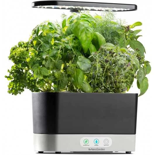 AeroGarden Harvest Indoor Garden: Grow Fresh Herbs & Vegetables All Year Round 12 AeroGarden Harvest Indoor Garden: Grow Fresh Herbs & Vegetables All Year Round - Image 10