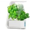 AeroGarden Sprout: Indoor Garden With LED Grow Light For Fresh Herbs & Veggies Year-Round -Home Electronics Store aerogarden sprout white indoor hydroponic herb garden