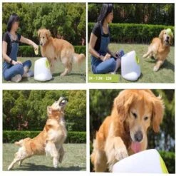 Automatic Ball Launcher For Dogs: Interactive Fetch Machine With 3 Mini Tennis Balls -Home Electronics Store afp hyper fetch the interactive device for dogs 7