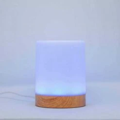 LuvLink Long Distance Friendship Lamps - Connect With Loved Ones Worldwide 8 LuvLink Long Distance Friendship Lamps - Connect With Loved Ones Worldwide -Home Electronics Store friendship lamp by luvlink™ set of 2 communicate through light 1 1