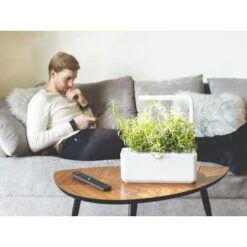 Click & Grow Smart Garden: Effortless Indoor Gardening -Home Electronics Store garden smart garden 3 for indoor gardening smart garden 3 is an indoor garden that allows you to grow your herbs easily origin e 3