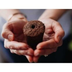 Click & Grow Smart Garden: Effortless Indoor Gardening -Home Electronics Store garden smart garden 3 for indoor gardening smart garden 3 is an indoor garden that allows you to grow your herbs easily origin e 5