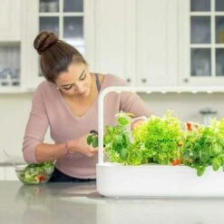 Hydroponics Indoor Garden: Grow Fresh Produce At Home -Home Electronics Store garden smart garden 9 the indoor gardening kit smart garden 9 is an indoor gardening kit to grow fresh food at home you just nee 2