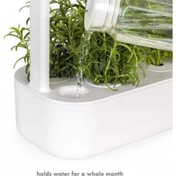 Hydroponics Indoor Garden: Grow Fresh Produce At Home -Home Electronics Store garden smart garden 9 the indoor gardening kit smart garden 9 is an indoor gardening kit to grow fresh food at home you just nee 3