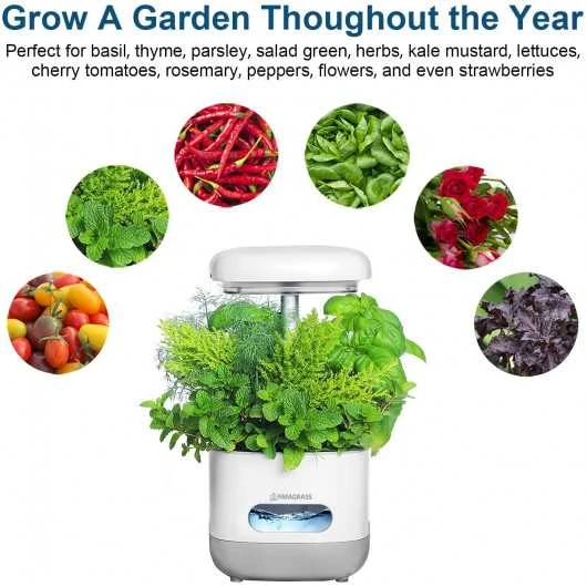 FAFAGRASS Hydroponics Growing System: Indoor Garden With Adjustable Full-Spectrum LED Light 6 FAFAGRASS Hydroponics Growing System: Indoor Garden With Adjustable Full-Spectrum LED Light - Image 4