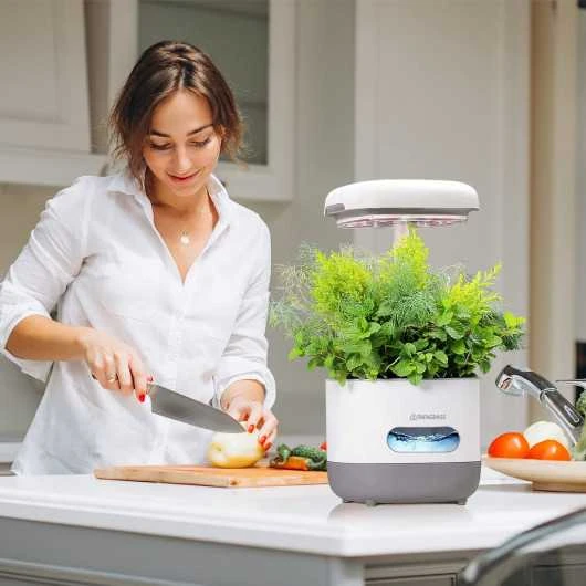 FAFAGRASS Hydroponics Growing System: Indoor Garden With Adjustable Full-Spectrum LED Light 10 FAFAGRASS Hydroponics Growing System: Indoor Garden With Adjustable Full-Spectrum LED Light - Image 8