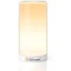 MERO MSL430 Smart Wi-Fi Ambient Light: Illuminate Your Space Intelligently -Home Electronics Store meross msl430hk connected led night light