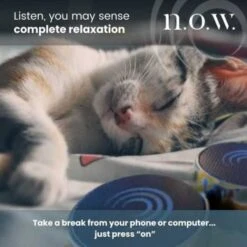 N.o.w. Tone Therapy System - Reduce Stress & Anxiety, 3-Minute Sessions -Home Electronics Store now tone therapy reduce stress and anxiety now feel embodied awareness intentional 3 minute play time is shown to be how 12
