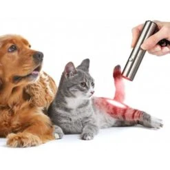 RedTonic LED Red Light Therapy: Advanced Healing Power -Home Electronics Store redtonic the led pain reliever 3