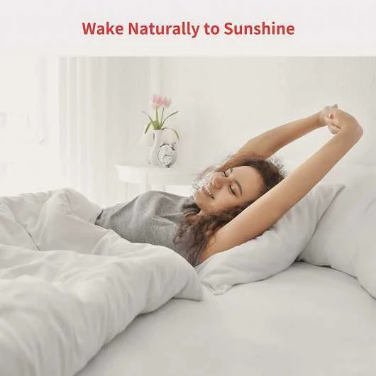 SwitchBot Curtain Smart Electric Motor: Effortless Control Of Your Curtains 3 SwitchBot Curtain Smart Electric Motor: Effortless Control Of Your Curtains